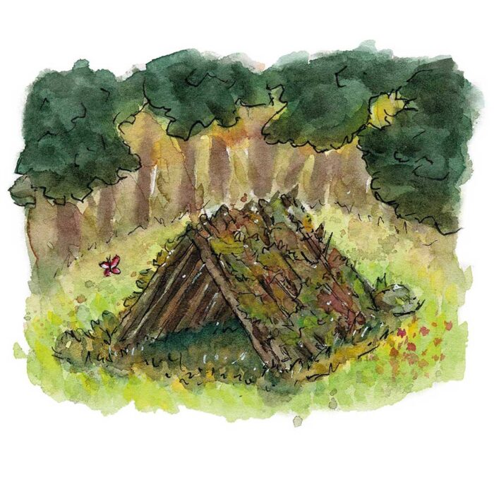 Geschenkte Erinnerungen – Draußen Natur erleben – Bild 4